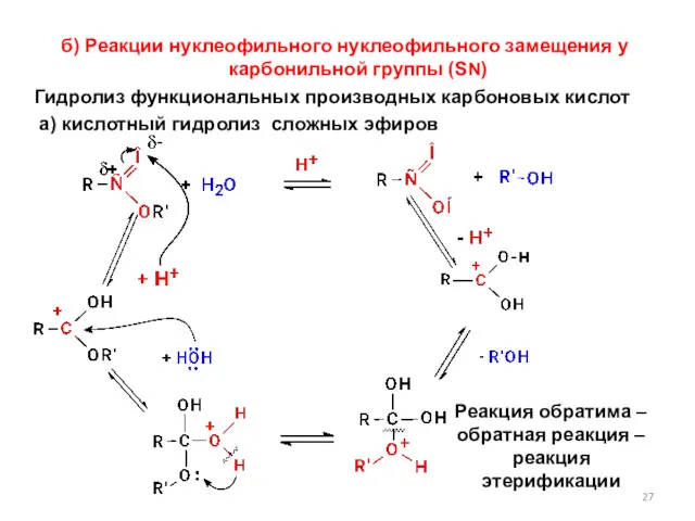 б) Реакции нуклеофильного нуклеофильного замещения у карбонильной группы (SN) Гидролиз