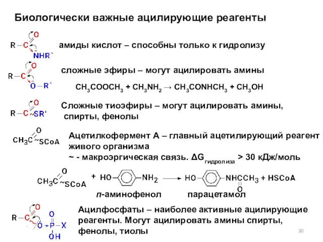 Биологически важные ацилирующие реагенты амиды кислот – способны только к