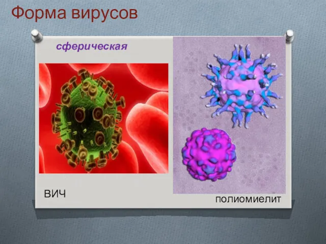 Форма вирусов сферическая полиомиелит ВИЧ