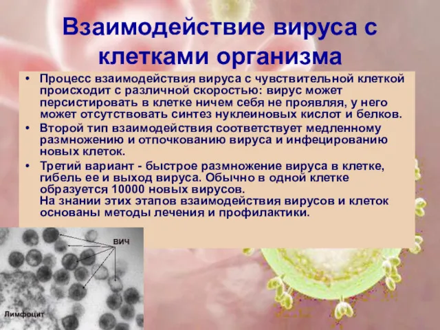Взаимодействие вируса с клетками организма Процесс взаимодействия вируса с чувствительной клеткой происходит с