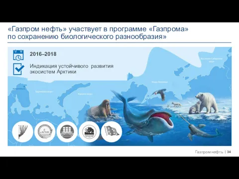 «Газпром нефть» участвует в программе «Газпрома» по сохранению биологического разнообразия» 2016–2018 Индикация устойчивого развития экосистем Арктики