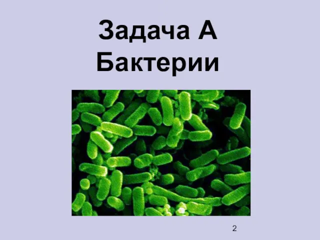 Задача A Бактерии