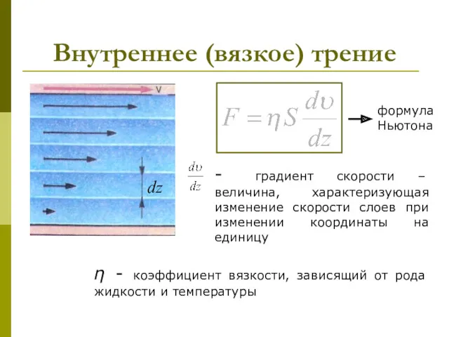 Внутреннее (вязкое) трение - градиент скорости – величина, характеризующая изменение