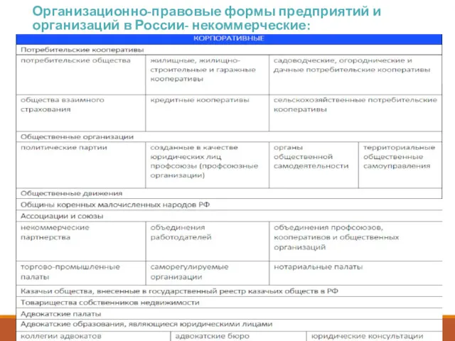 Организационно-правовые формы предприятий и организаций в России- некоммерческие: