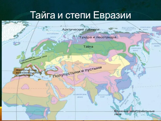 Тайга и степи Евразии