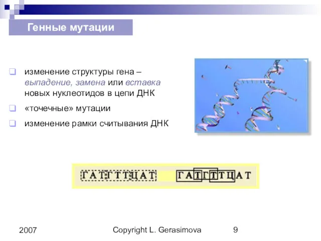 Copyright L. Gerasimova 2007 Генные мутации изменение структуры гена –