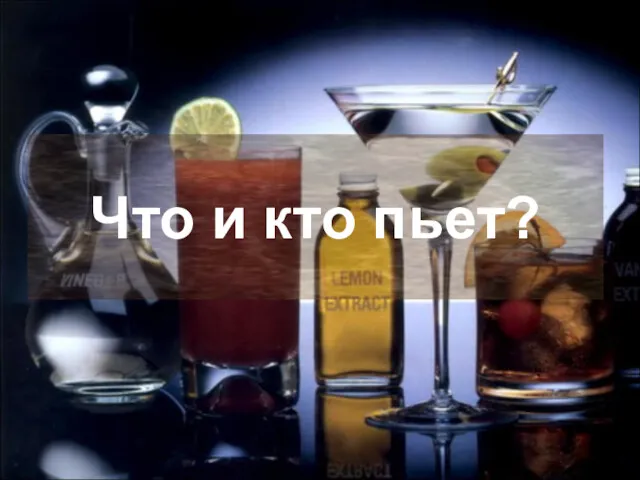 Что и кто пьет?