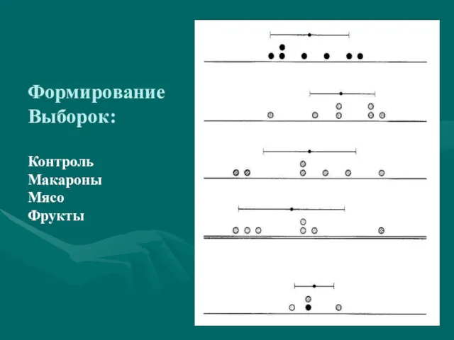 Формирование Выборок: Контроль Макароны Мясо Фрукты