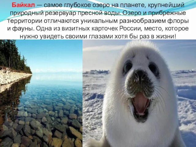Байкал — самое глубокое озеро на планете, крупнейший природный резервуар