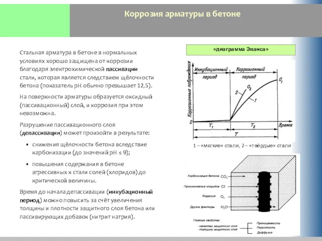 Коррозия арматуры в бетоне Стальная арматура в бетоне в нормальных