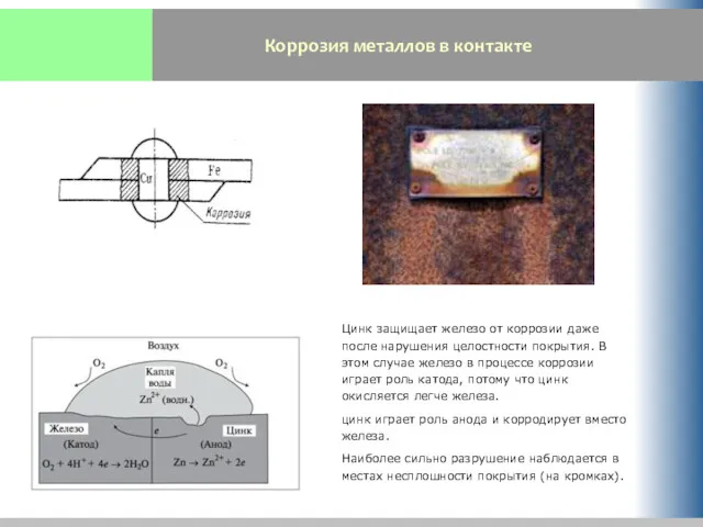 Коррозия металлов в контакте Цинк защищает железо от коррозии даже