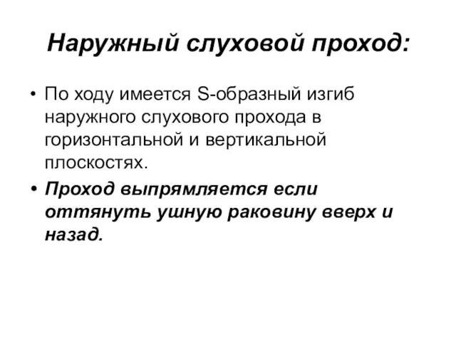 Наружный слуховой проход: По ходу имеется S-образный изгиб наружного слухового