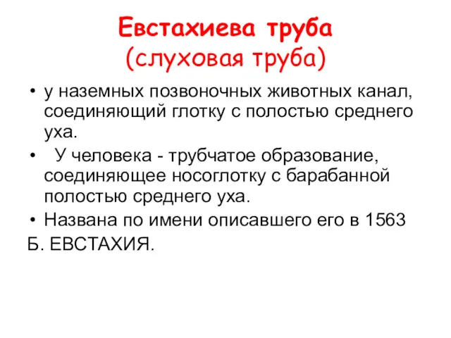 Евстахиева труба (слуховая труба) у наземных позвоночных животных канал, соединяющий