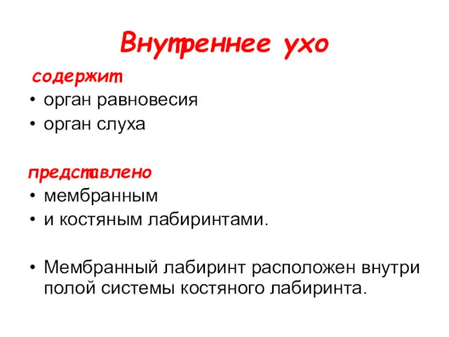 Внутреннее ухо содержит орган равновесия орган слуха представлено мембранным и