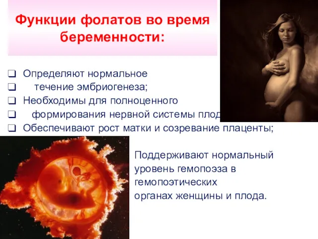 Функции фолатов во время беременности: Определяют нормальное течение эмбриогенеза; Необходимы