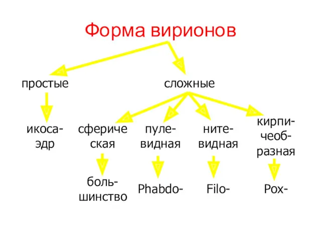 Форма вирионов