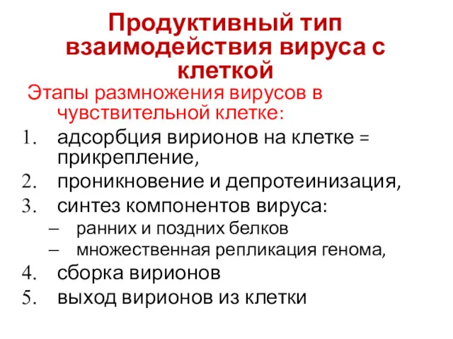 Продуктивный тип взаимодействия вируса с клеткой Этапы размножения вирусов в