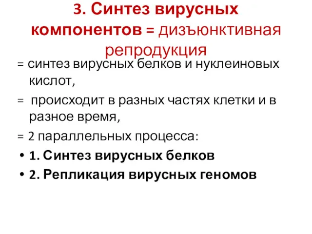 3. Синтез вирусных компонентов = дизъюнктивная репродукция = синтез вирусных