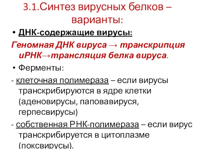 3.1.Синтез вирусных белков –варианты: ДНК-содержащие вирусы: Геномная ДНК вируса →