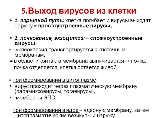 5.Выход вирусов из клетки 1. взрывной путь: клетка погибает и