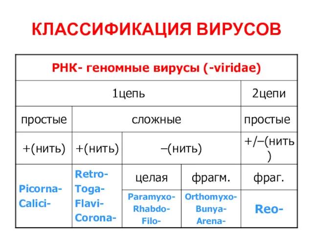 КЛАССИФИКАЦИЯ ВИРУСОВ