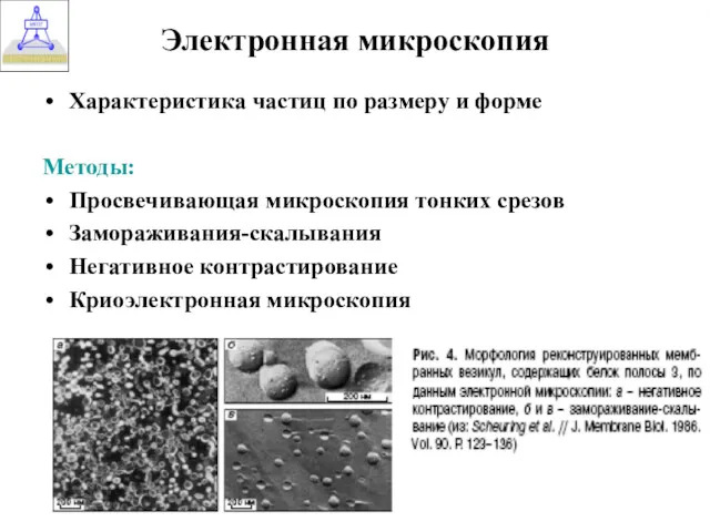 Электронная микроскопия Характеристика частиц по размеру и форме Методы: Просвечивающая микроскопия тонких срезов