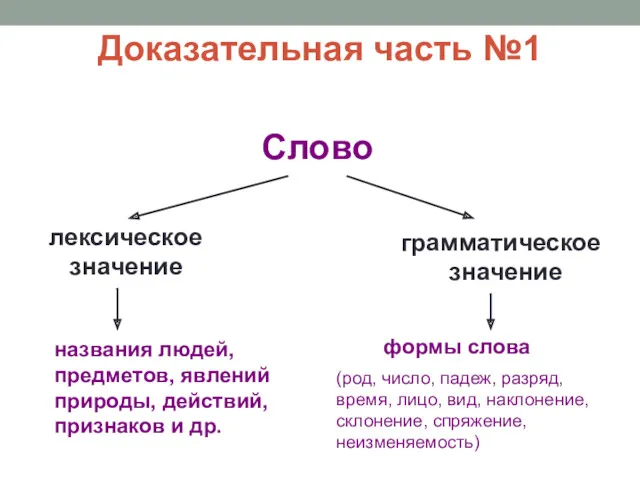 Доказательная часть №1 Слово лексическое значение грамматическое значение формы слова