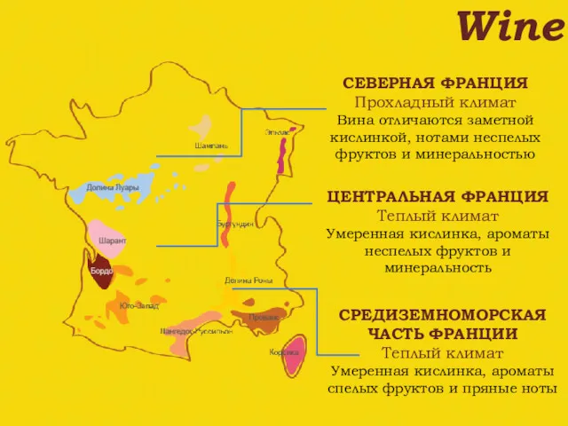 СЕВЕРНАЯ ФРАНЦИЯ Прохладный климат Вина отличаются заметной кислинкой, нотами неспелых