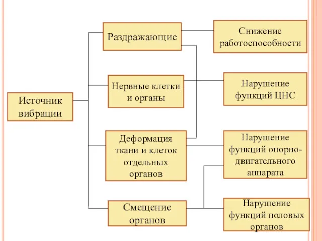 Источник вибрации Раздражающие Нервные клетки и органы Деформация ткани и