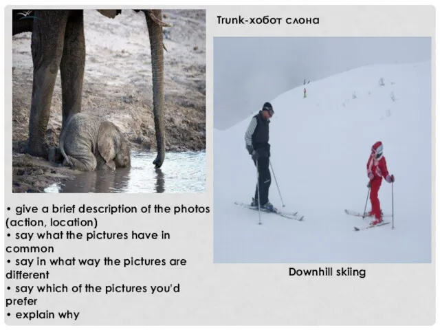 Downhill skiing Trunk-хобот слона • give a brief description of