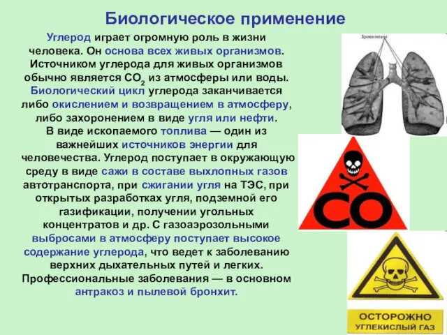 Углерод играет огромную роль в жизни человека. Он основа всех