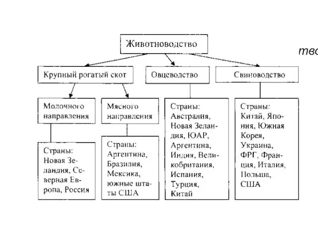 Животноводство