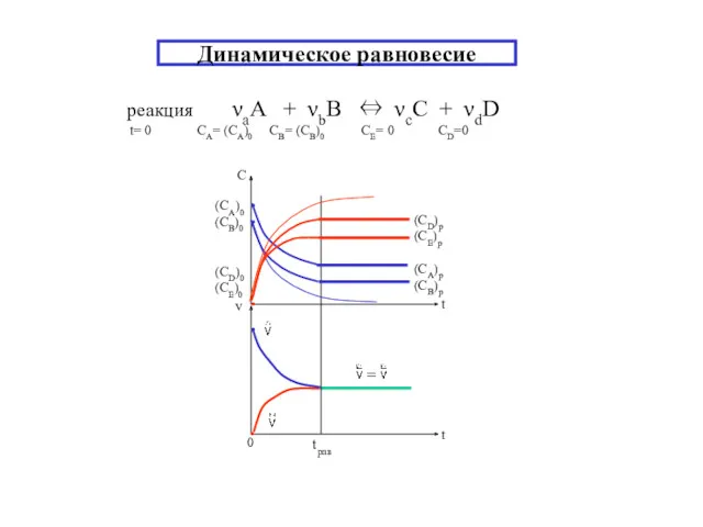 Динамическое равновесие реакция νаA + νbB ⇔ νсC + νdD