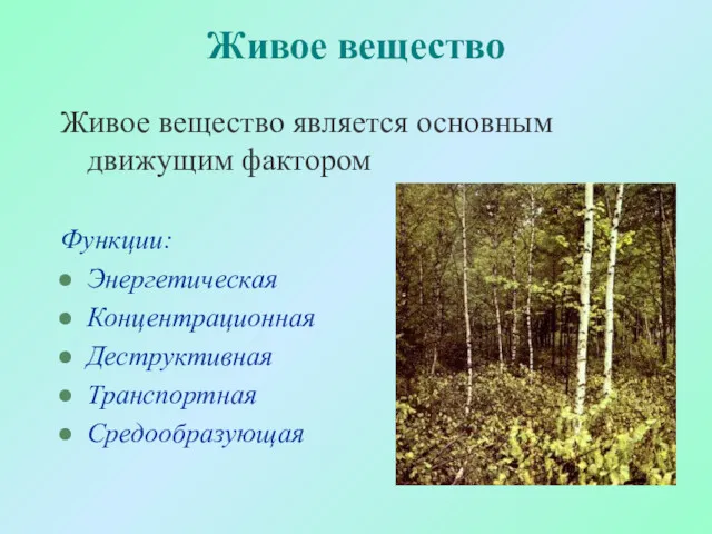 Живое вещество Живое вещество является основным движущим фактором Функции: Энергетическая Концентрационная Деструктивная Транспортная Средообразующая