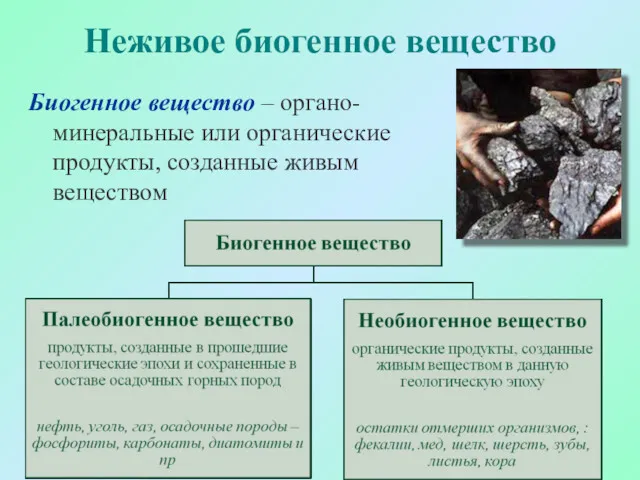 Неживое биогенное вещество Биогенное вещество – органо-минеральные или органические продукты, созданные живым веществом