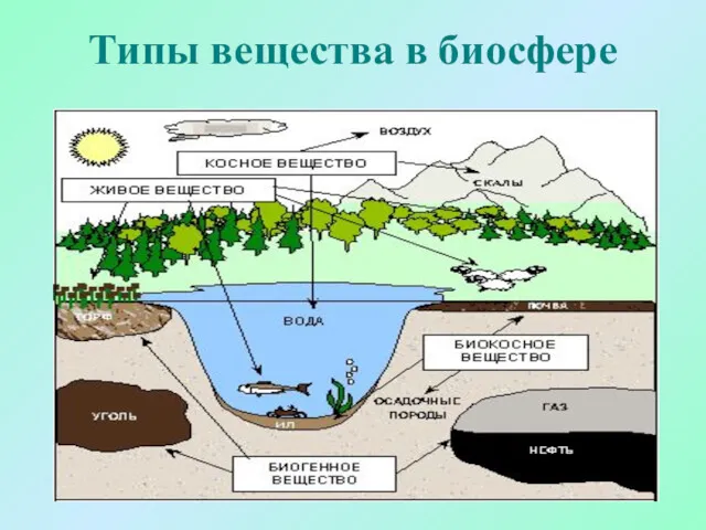 Типы вещества в биосфере