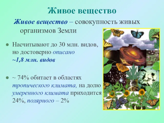 Живое вещество Насчитывают до 30 млн. видов, но достоверно описано