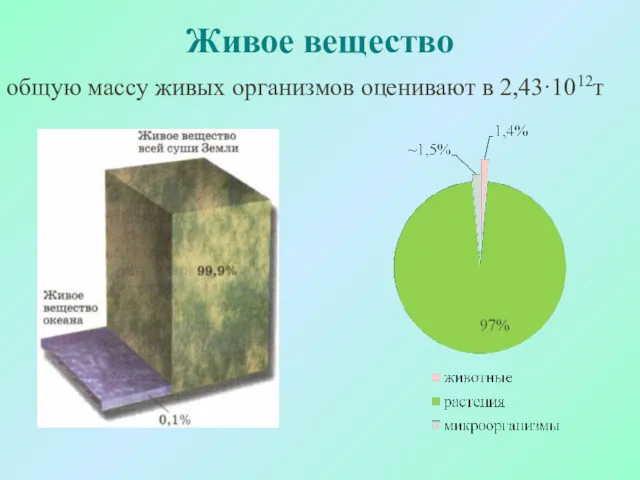 Живое вещество общую массу живых организмов оценивают в 2,43·1012т