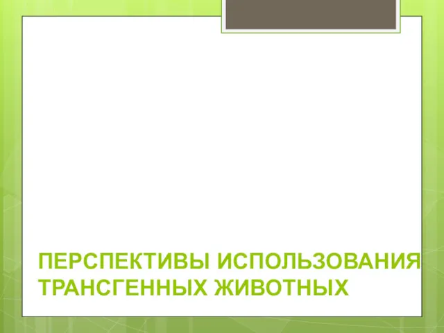 ПЕРСПЕКТИВЫ ИСПОЛЬЗОВАНИЯ ТРАНСГЕННЫХ ЖИВОТНЫХ