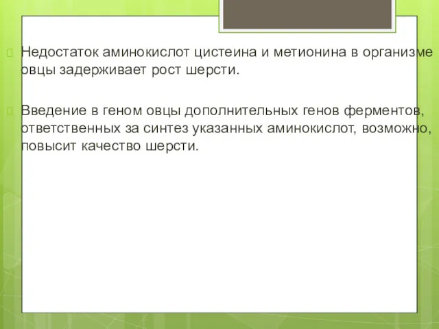 Недостаток аминокислот цистеина и метионина в организме овцы задерживает рост