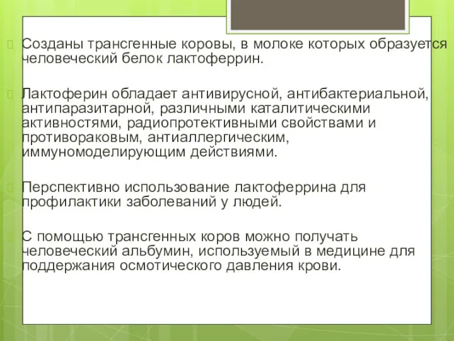 Созданы трансгенные коровы, в молоке которых образуется человеческий белок лактоферрин.