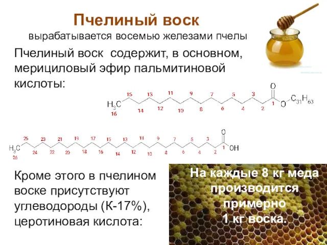 Пчелиный воск Пчелиный воск вырабатывается восемью железами пчелы На каждые 8 кг меда