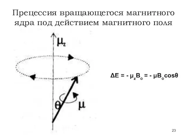 Прецессия вращающегося магнитного ядра под действием магнитного поля ΔЕ = - μzВо = - μВоcosθ