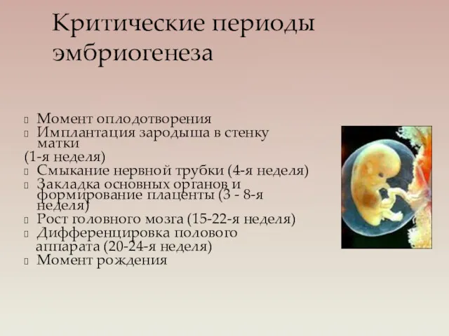 Критические периоды эмбриогенеза Момент оплодотворения Имплантация зародыша в стенку матки