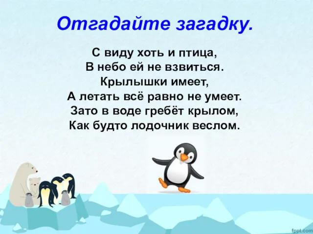 Отгадайте загадку. С виду хоть и птица, В небо ей