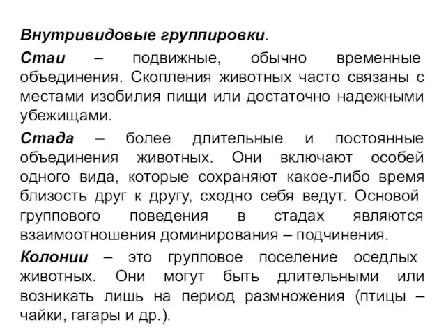 Внутривидовые группировки. Стаи – подвижные, обычно временные объединения. Скопления животных