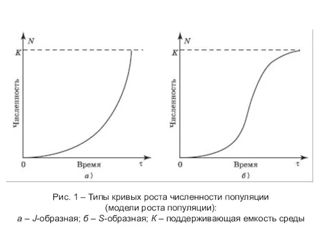 Рис. 1 – Типы кривых роста численности популяции (модели роста