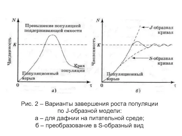 Рис. 2 – Варианты завершения роста популяции по J-образной модели: