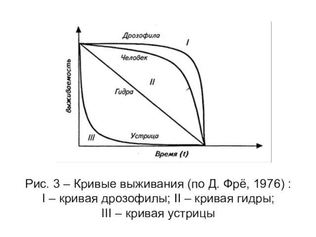 Рис. 3 – Кривые выживания (по Д. Фрё, 1976) :