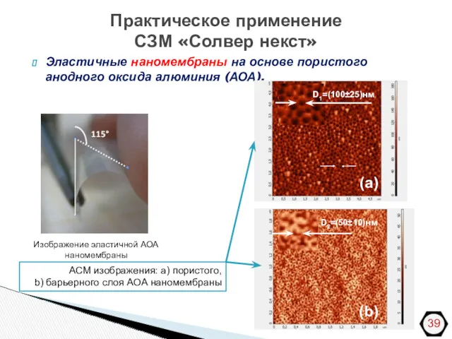 Практическое применение СЗМ «Солвер некст» Эластичные наномембраны на основе пористого